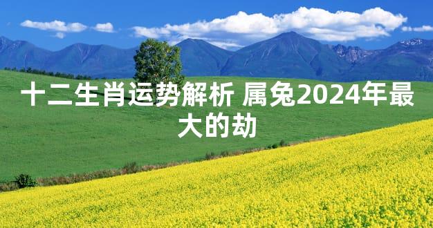 十二生肖运势解析 属兔2024年最大的劫
